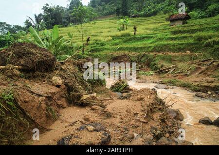 Sumedang, Indonesien. Januar 2020. Ein Blick auf ein beschädigtes Gebiet, das vom Erdrutsch in Cilipung Village getroffen wurde.Heftige Regenfälle, die am 26. Januar einige Gebiete durchspülten und einen Erdrutsch verursachten, der zwei Menschen tötete und zwei weitere verletzte und Reisfelder der Bewohner erntete. Kredit: Algi Febri Sugita/SOPA Images/ZUMA Wire/Alamy Live News Stockfoto