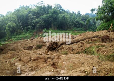 Sumedang, Indonesien. Januar 2020. Ein Blick auf ein beschädigtes Gebiet, das vom Erdrutsch in Cilipung Village getroffen wurde.Heftige Regenfälle, die am 26. Januar einige Gebiete durchspülten und einen Erdrutsch verursachten, der zwei Menschen tötete und zwei weitere verletzte und Reisfelder der Bewohner erntete. Credit: Sopa Images Limited/Alamy Live News Stockfoto