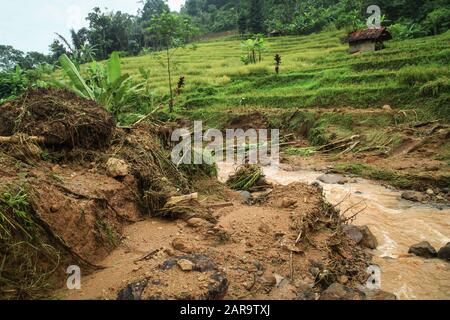 Sumedang, Indonesien. Januar 2020. Ein Blick auf ein beschädigtes Gebiet, das vom Erdrutsch in Cilipung Village getroffen wurde.Heftige Regenfälle, die am 26. Januar einige Gebiete durchspülten und einen Erdrutsch verursachten, der zwei Menschen tötete und zwei weitere verletzte und Reisfelder der Bewohner erntete. Credit: Sopa Images Limited/Alamy Live News Stockfoto