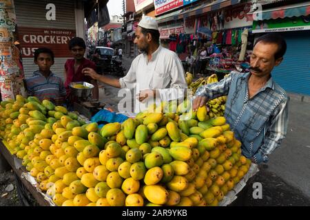 Mango-Obsthändler, Haldwani, Nainital, Kumaon, Uttarakhand, Indien, Asien Stockfoto