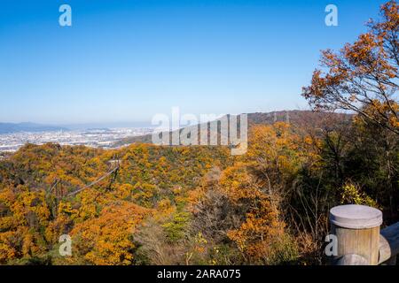 Hängebrücke im Laubwald im Herbstlaub, Hoshi no Buranko, Hoshida, Katano, Osaka, Japan. Weitschuss, Ansicht Mit Hohem Winkel Stockfoto