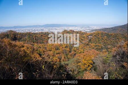 Hängebrücke im Laubwald im Herbstlaub, Hoshi no Buranko, Hoshida, Katano, Osaka, Japan. Weitschuss, Luftbild Stockfoto