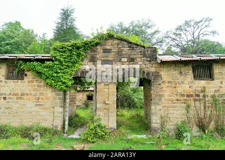 Tiergehäuse, Sitla Estate, Sheetla, Nainital, Kumaon, Uttarakhand, Indien, Asien, 1905 Stockfoto