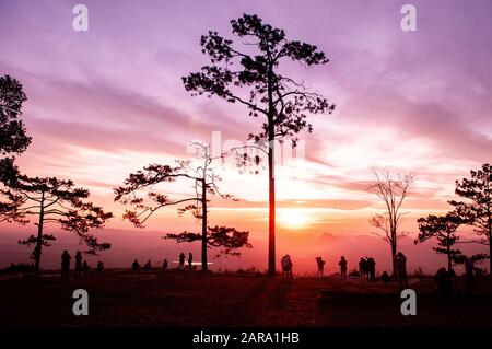 Okt 31, 2019 Loei, Thailand - Schöner, dramatischer Sonnenaufgang mit Silhouetten-Kiefern und Touristen an der Pha Nok-Klippe. Phu Kradueng National p Stockfoto