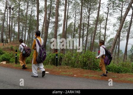 Kinder mit schweren Schultaschen, Deodars Guest House, Papersali, Almora, Uttarakhand, Indien, Asien Stockfoto