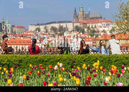 Blick von der Altstadt auf die Prager Burg und den Stadtteil Mala Strana (Kleinseite), Prag, Böhmen, Tschechien, Europa Stockfoto