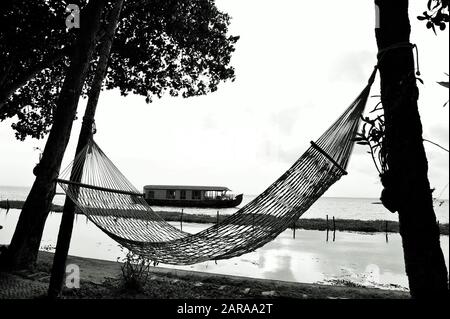 Hängematte zwischen zwei Bäumen, Vembanad See, Kumarakom, Kottayam, Kerala, Indien, Asien Stockfoto