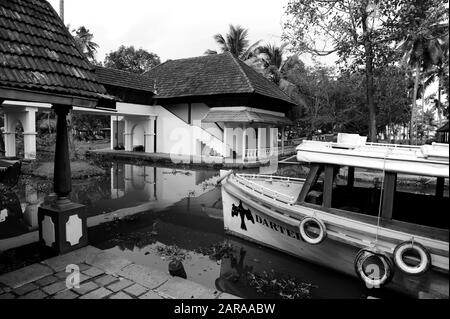 Boat Darter, Coconut Lagoon Resort, Kumarakom, Kottayam, Kerala, Indien, Asien Stockfoto