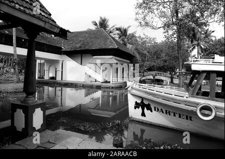 Boat Darter, Coconut Lagoon Resort, Kumarakom, Kottayam, Kerala, Indien, Asien Stockfoto