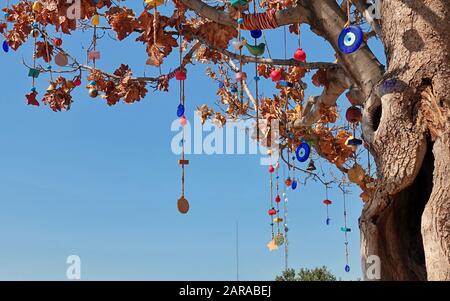 Nazar (Amulette) an einem Baum hängend, glaubte anaugenförmiges Amulett, sich gegen das böse Auge zu schützen. IRAN Stockfoto