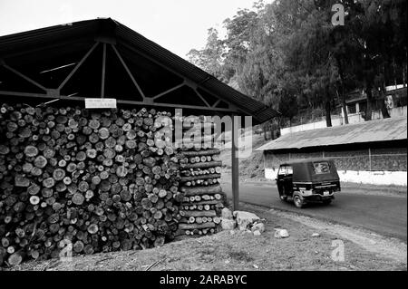 Holzstämme Lagerschuppen, Munnar, Idukki, Kerala, Indien, Asien Stockfoto