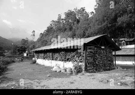 Holzstämme Lagerschuppen, Munnar, Idukki, Kerala, Indien, Asien Stockfoto