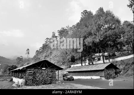 Holzstämme Lagerschuppen, Munnar, Idukki, Kerala, Indien, Asien Stockfoto