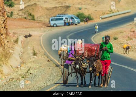 Bahir dar, Äthiopien - 19. Januar 2019: Unidentifizierter Junge transportiert Treibstoff mit einem Eselskarren Stockfoto