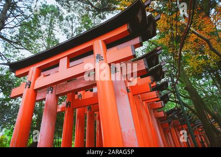 Fushimi Inari Taisha Torii Tore in Fushimi-ku, Kyoto, Japan. Stockfoto