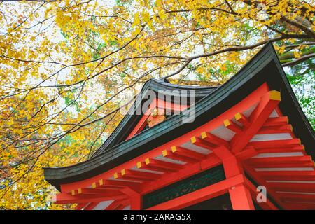 Japanische Architektur mit gelbem Ahorn hinterlässt Hintergrund im Fushimi Inari Taisha-Schrein, Kyoto, Japan. Stockfoto