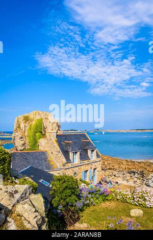 Bretonisches Haus aus Granit mit Schieferdach im kleinen Hafen von Pors Hir in der Bretagne, an der Küste neben einem Felsbrocken an einem sonnigen Sommertag erbaut. Stockfoto