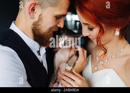 Neu zusammenstehende Paare kuscheln ihre haarlose sphynx-katze Stockfoto