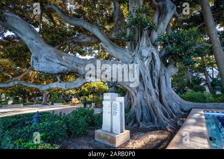 Alameda de Apodaca, einen öffentlichen Park und ein Beispiel für den eklektischen Stil des Regionalismus in Cadiz, mit riesigen ficus Bäume und eine Bank mit Sevi Stockfoto