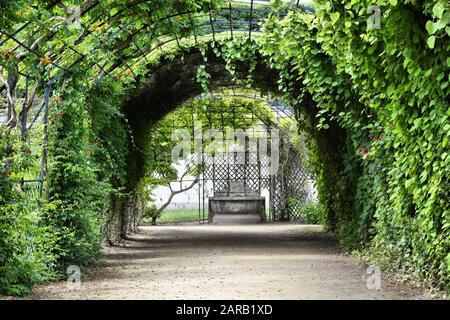 Compiegne - schöne Gärten in der Region Picardie, Frankreich. Mysteriöser Parktunnel. Stockfoto