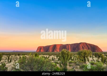 Spektakulärer Sonnenaufgang, Uluru und Kata Tjuta, umrahmt von einem lebhaften Sonnenaufganghimmel und üppiger, winterlicher Wüste, die sie Eichen und Wüstengräser. Stockfoto