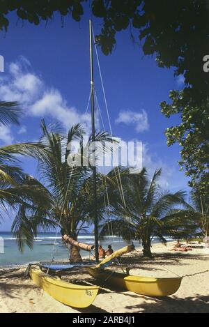 Barbados, Caribbean Stockfoto