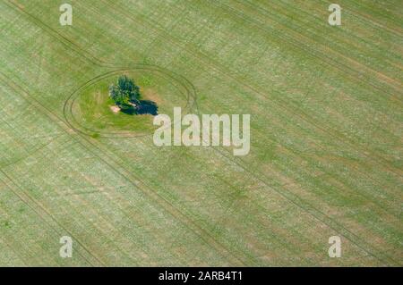 Luftaufnahme eines Baumkerns in einem grünen Feld in der Nähe von Geraldton in Western Australia Stockfoto