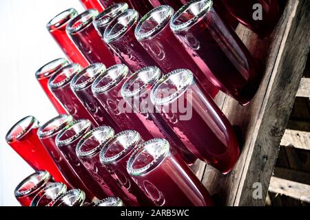 Flaschen für die Champagnerproduktion Stockfoto