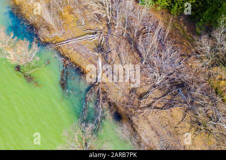 Tote Bäume auf einem Reservoir. Luftansicht. Stockfoto