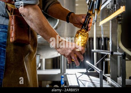 Brauer füllt handwerkliches Bier ab Stockfoto