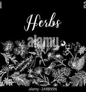 Plakatkarten-Komposition von handgezeichneten Skizzenstil verschiedene Arten von Pflanzen isoliert auf schwarzem Hintergrund. Vektorgrafiken. Stock Vektor