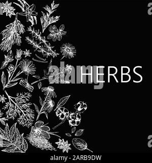 Plakatkarten-Komposition von handgezeichneten Skizzenstil verschiedene Arten von Pflanzen isoliert auf schwarzem Hintergrund. Vektorgrafiken. Stock Vektor