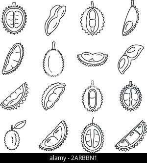 Durian Fruit Icons Set. Umreißende Reihe von Durian Fruit Vektorsymbolen für Webdesign isoliert auf weißem Hintergrund Stock Vektor