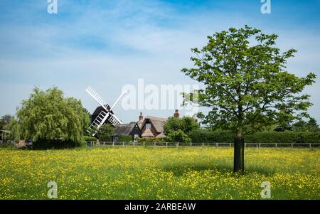 Eine traditionelle alte englische Windmühle und ein Bauernhaus, das sich in der englischen Landschaft des Frühlings schmiegt. Cambridgeshire, Großbritannien. Stockfoto