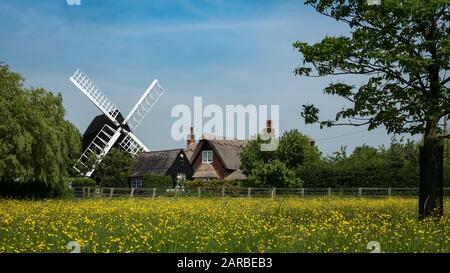 Eine traditionelle alte englische Windmühle und ein Bauernhaus, das sich in der englischen Landschaft des Frühlings schmiegt. Cambridgeshire, Großbritannien. Stockfoto