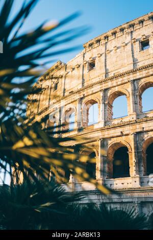 ROM, Italien - 2. Januar 2020: Das Kolosseum in Rom, Italien Stockfoto