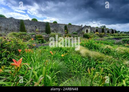 Frankreich, Indre et Loire, Chancay, Chateau de Valmer Gärten, der Gemüsegarten, Blumenbeet von "Blumen zum Essen" der Taglilien (Hemerocallis fulva) Stockfoto