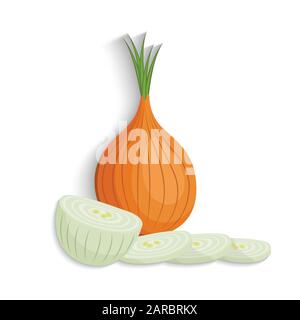 Zwiebeln. Zwiebeln halb, Scheibe und ganz, Vektorgrafiken Stock Vektor