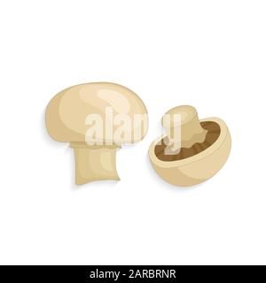 Champignon-Pilze. Frische organische realistische Pilze, Vektorgrafiken Stock Vektor