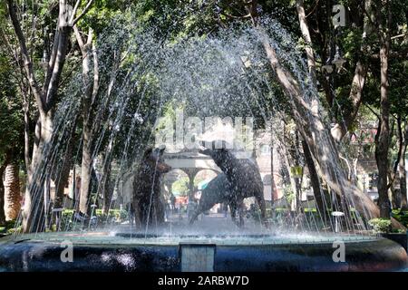 Brunnen mit zwei Kojoten-Statue in der Mitte in Parl gefüllt mit Bäumen in der Coyoacan-Nachbarschaft von Mexiko-Stadt Stockfoto