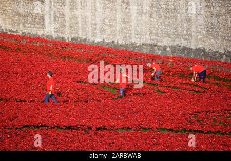 Freiwillige bei den Tower von London Blut fegte Länder und Meere der Roten kunst Installation. Stockfoto