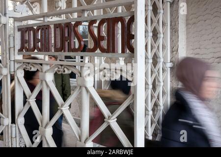 Weimar, Deutschland. Januar 2020. Studenten kommen in die Gedenkstätte Buchenwald, um weiße Rosen für die Opfer des Nationalsozialismus zu legen. Kredit: Michael Reichel / dpa / Alamy Live News Stockfoto