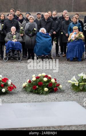 Weimar, Deutschland. Januar 2020. Überlebende des Holocausts im Rollstuhl Günther Pappenheim (l-r), Eva Pusztai und Heinrich Rotmensch legen zusammen mit Vertretern der Thüringer Landesregierung, Studenten, Parteien und Vereine weiße Rosen für die Opfer des Nationalsozialismus in der Gedenkstätte Buchenwald nieder. Kredit: Michael Reichel / dpa / Alamy Live News Stockfoto