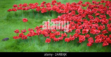 Mohnblumen aus Blut fegte Länder und Meere der Roten Installation am Tower von London Kennzeichnung 100 Jahre seit dem 1. Weltkrieg. Stockfoto