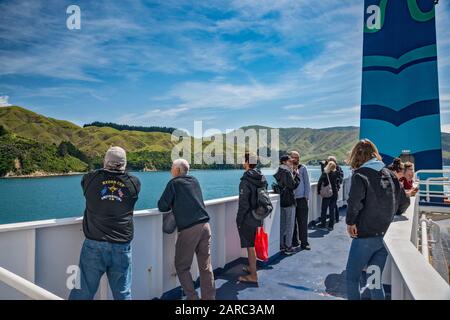 Passagiere von MS Kaitaki, Interislander Ferry, Blick auf Tory Channel, Marlborough Sounds Shoreline, auf dem Weg nach Picton, South Island, Neuseeland Stockfoto