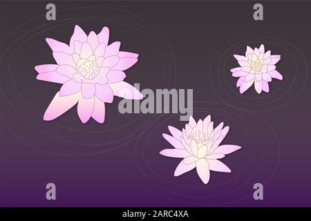 Vector Art pinkfarbene lotusblüten auf dunkelviolettem Wasser mit Kreishintergrund. Ruhige romantische, niedliche Blumen in der Teichzeichnung. Stock Vektor