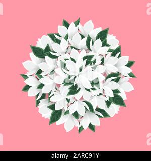 Vektor Magnolia Blumen Stock Vektor