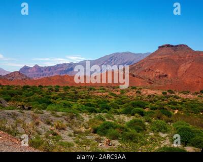 Schöne Landschaft an der Ruta 68, die Salta mit Cafayate, Argentinien, verbindet Stockfoto