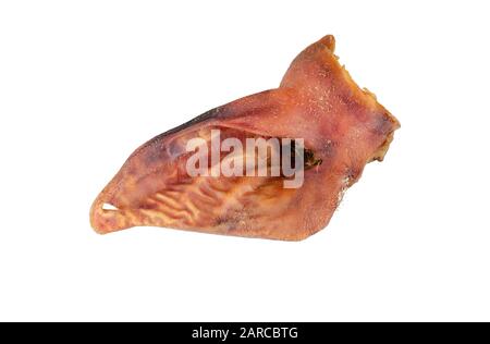 Getrocknetes Schweineohr liegt auf weißem Grund. Naturkauen für Hunde. Haustierzubehör. Nahaufnahme. Selektiver Fokus. Stockfoto