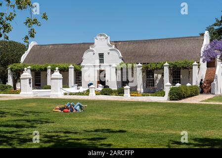 Faure, Stellenbosch, Westkappo, Südafrika. Das Gehöft des Weinguts Vergenoegd. Kapholländisches Gebäude mit einem Jacaranda-Baum. Stockfoto